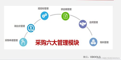 優秀采購管理的七大核心流程與模塊 一張圖掌握所有干貨（含高風險運動項目專項解析）