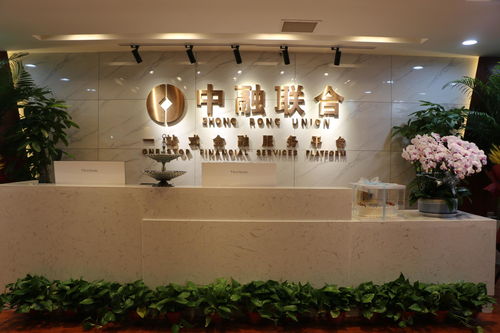 西安中融聯(lián)合商務(wù)信息咨詢