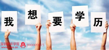 深圳，無文憑者的困境與商務信息咨詢的機遇